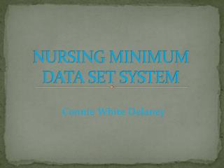 NURSING MINIMUM DATA SET SYSTEM