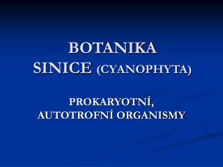 BOTANIKA SINICE (CYANOPHYTA)