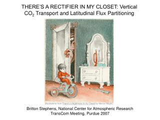 THERE’S A RECTIFIER IN MY CLOSET: Vertical CO 2 Transport and Latitudinal Flux Partitioning