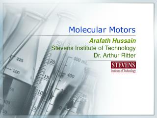 Molecular Motors