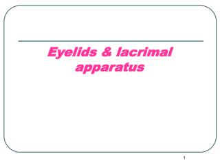 Eyelids &amp; lacrimal apparatus