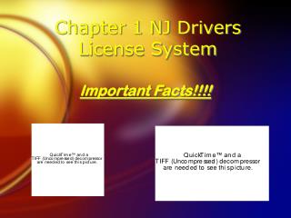 Chapter 1 NJ Drivers License System