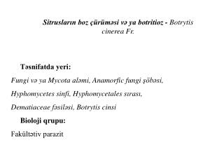 Sitrusların boz çürüməsi və ya botritioz - Botrytis cinerea Fr.