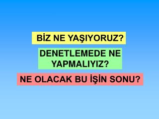 BİZ NE YAŞIYORUZ? DENETLEMEDE NE YAPMALIYIZ? NE OLACAK BU İŞİN SONU?