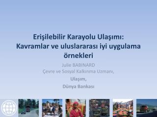 Erişilebilir Karayolu Ulaşımı: Kavramlar ve uluslararası iyi uygulama örnekleri