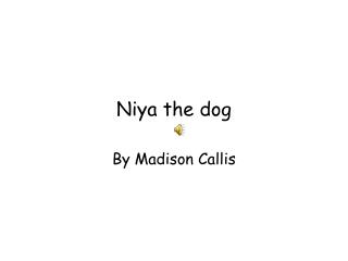 Niya the dog