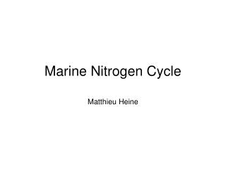 Marine Nitrogen Cycle