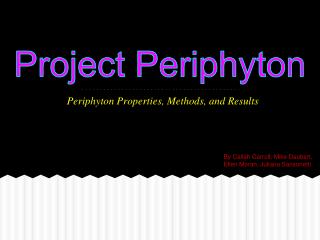 Periphyton Properties, Methods, and Results