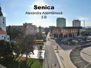 Senica Alexandra Adamišinová 3.B