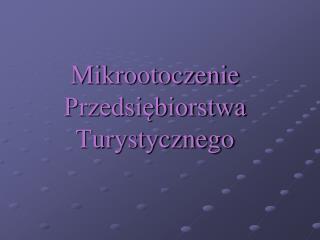 Mikrootoczenie Przedsiębiorstwa Turystycznego