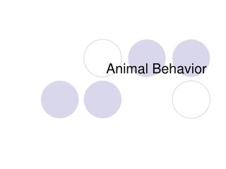 Animal Behavior