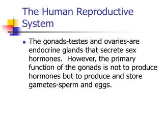 The Human Reproductive System