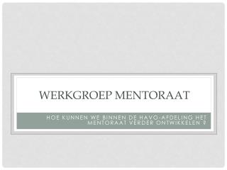 WERKGROEP mentoraat