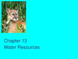 Chapter 13 Water Resources
