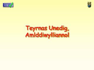 Teyrnas Unedig, Amlddiwylliannol