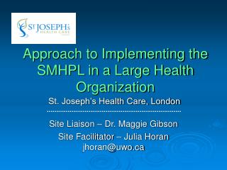Approach to Implementing the SMHPL in a Large Health Organization