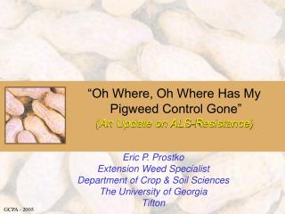 “Oh Where, Oh Where Has My Pigweed Control Gone” (An Update on ALS-Resistance)