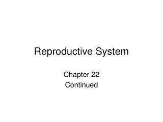 Reproductive System