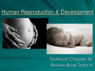 Human Reproduction &amp; Development