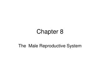 Chapter 8