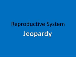 Reproductive System