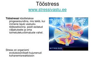 Tööstress stressivastu.ee