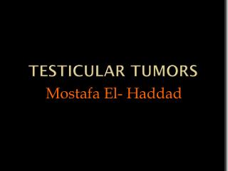 Testicular tumors