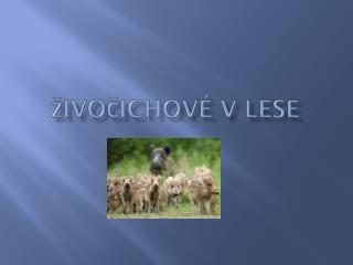 Živočichové v lese