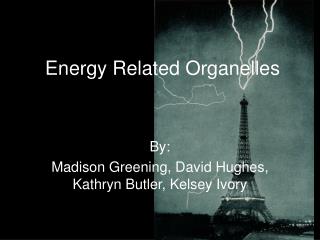 Energy Related Organelles