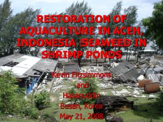 RESTORATION OF AQUACULTURE IN ACEH, INDONESIA  SEAWEED IN SHRIMP PONDS