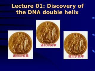 Lecture 01: Discovery of the DNA double helix