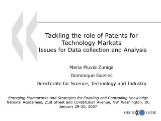 Tackling the role of Patents for Technology Markets Issues for Data collection and Analysis