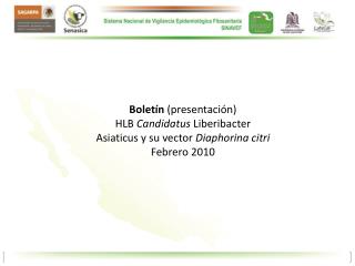 Boletín (presentación) HLB Candidatus Liberibacter Asiaticus y su vector Diaphorina citri