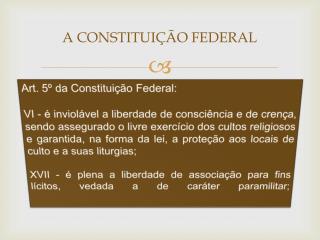 A CONSTITUIÇÃO FEDERAL