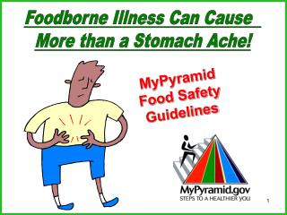 MyPyramid Food Safety Guidelines