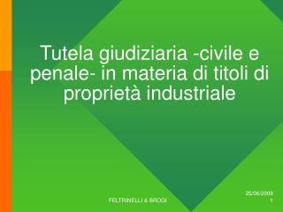 Tutela giudiziaria -civile e penale- in materia di titoli di proprietà industriale