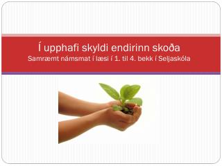 Í upphafi skyldi endirinn skoða Samræmt námsmat í læsi í 1. til 4. bekk í Seljaskóla