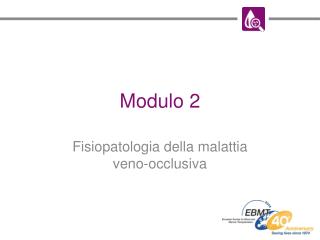 Modulo 2