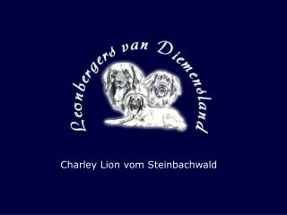 Charley Lion vom Steinbachwald