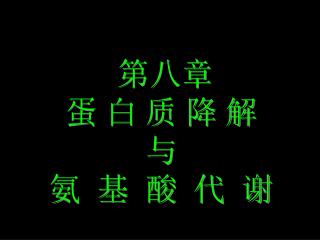 第八章 蛋 白 质 降 解 与 氨 基 酸 代 谢