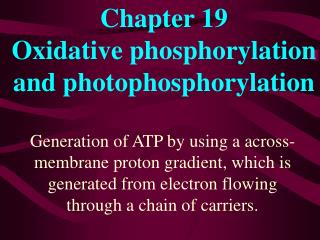 Chapter 19 Oxidative phosphorylation and photophosphorylation