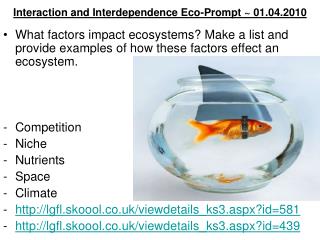 Interaction and Interdependence Eco-Prompt ~ 01.04.2010