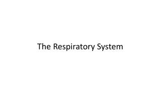 The Respiratory System