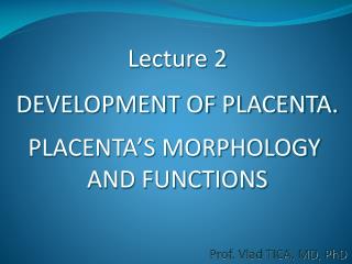 Lecture 2 DEVELOPMENT OF PLACENTA. PLACENTA’S MORPHOLOGY AND FUNCTIONS