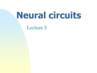 Neural circuits