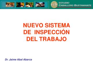 NUEVO SISTEMA DE INSPECCIÓN DEL TRABAJO