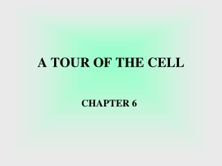 A TOUR OF THE CELL