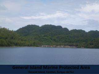 General Island Marine Protected Area General Island, Cantilan, Surigao del Sur