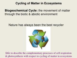 Cycling of Matter in Ecosystems