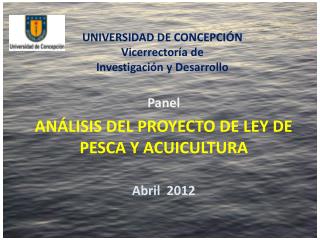 UNIVERSIDAD DE CONCEPCIÓN Vicerrectoría de Investigación y Desarrollo